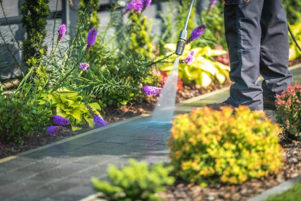 Best Restaurant Pressure Washing  in Sully Square, VA